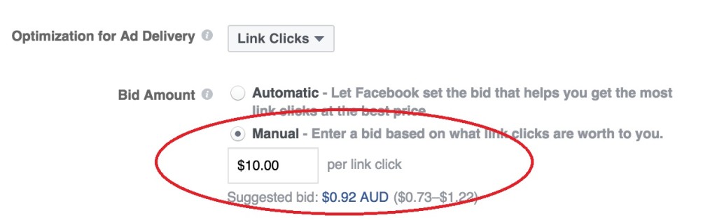 Facebook - manual bid