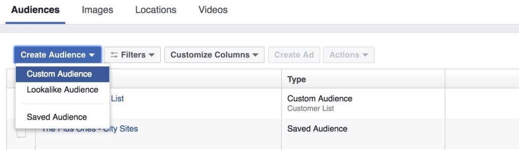 The Plus Ones - Facebook Custom Audiences (Website Audience) 2