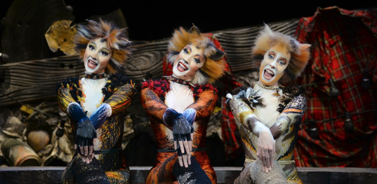 The Plus Ones Practical Cats Dramatical Cats Jellicle Cats Melbourne
