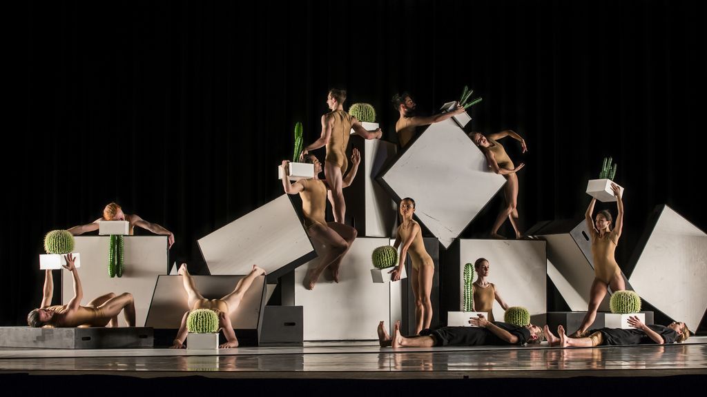 Sydney Dance Company Cacti