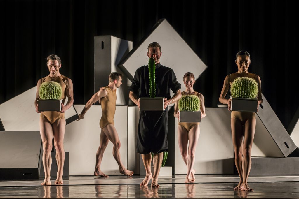 Sydney Dance Company Cacti