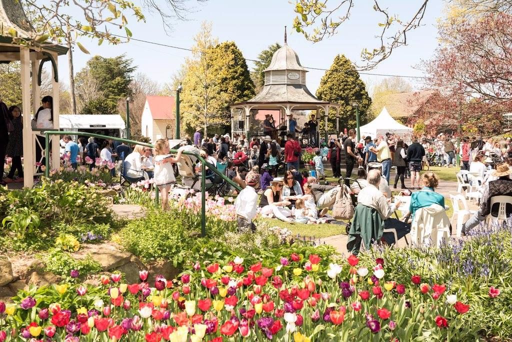Southern Highlands Food and Wine Festival